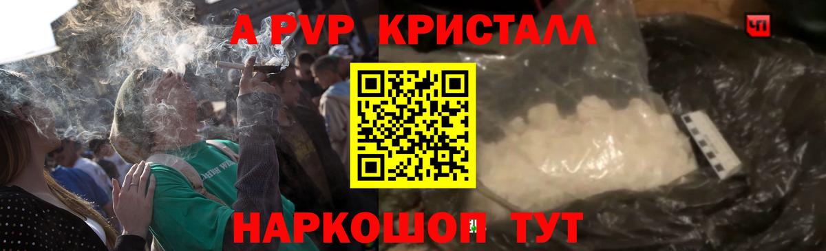 А ПВП СК КРИС  А ПВП СК КРИС  Вход с VPN  Лангепас  Альфа ПВП крисы CK 
