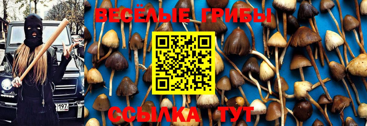 Лангепас  Псилоцибиновые грибы мицелий  Галлюциногенные грибы MAGIC MUSHROOMS  Вход с VPN 